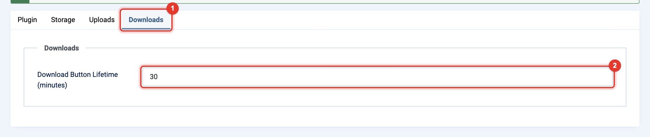 Plugin Pretty Protected Downloads: tab Downloads